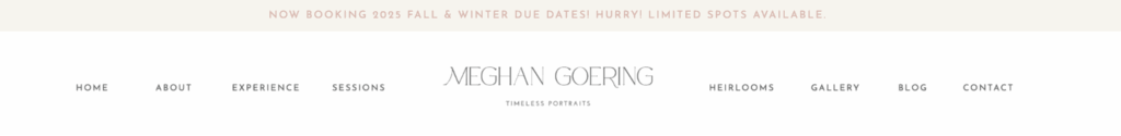 Example of website navigation bar for photography websites