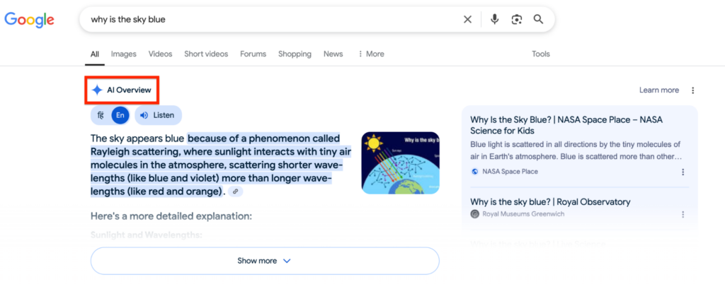 Example of Google AI overviews
